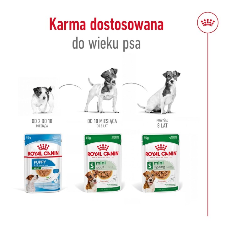 ROYAL CANIN Mini Ageing - cibo umido per cani - 12 x 85g