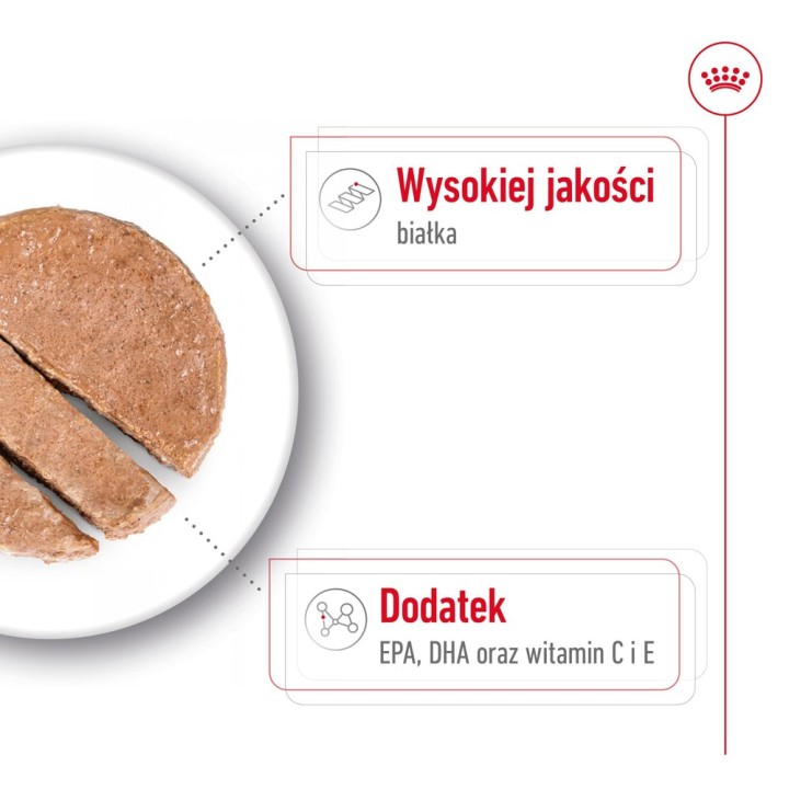 ROYAL CANIN Medium Ageing Loaf - cibo umido per cani - 410g