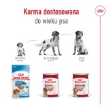 ROYAL CANIN Medium Ageing Loaf - cibo umido per cani - 410g