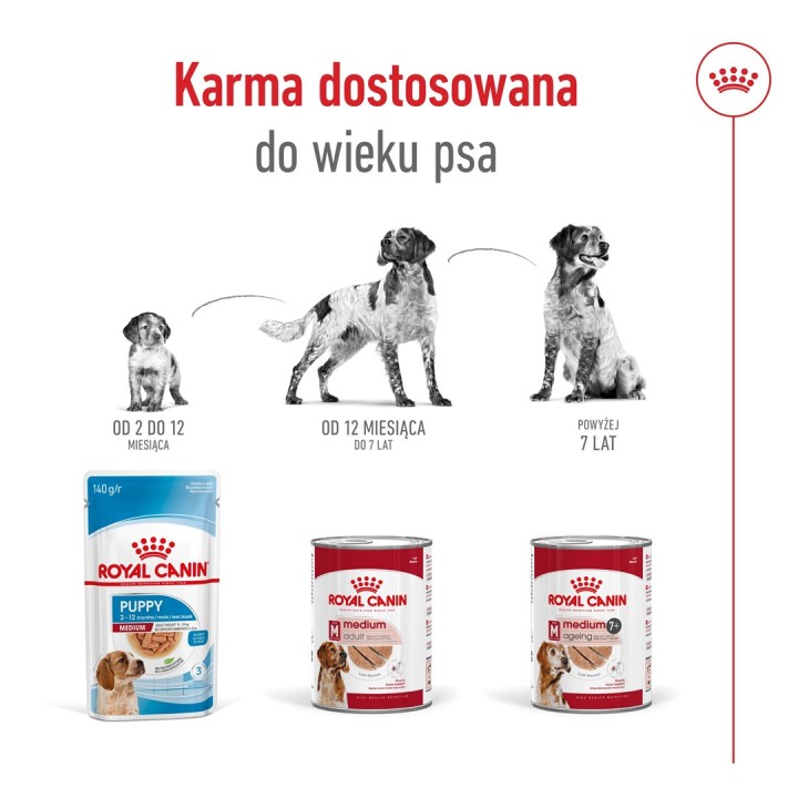 ROYAL CANIN Medium Ageing Loaf - cibo umido per cani - 410g