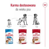 ROYAL CANIN SHN Medium Adult in salsa - cibo umido per cani adulti - 10x140g