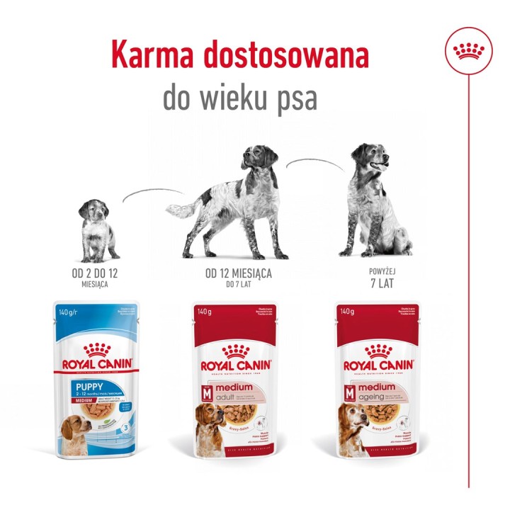 ROYAL CANIN SHN Medium Adult in salsa - cibo umido per cani adulti - 10x140g