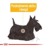 ROYAL CANIN Mini Dermacomfort - cibo secco per cani adulti di piccole razze con pelle sensibile soggetta a irritazione - 3kg