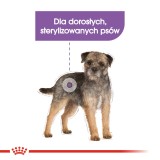 ROYAL CANIN Mini Sterilised - cibo secco per cani adulti di piccole razze dopo la sterilizzazione - 1kg