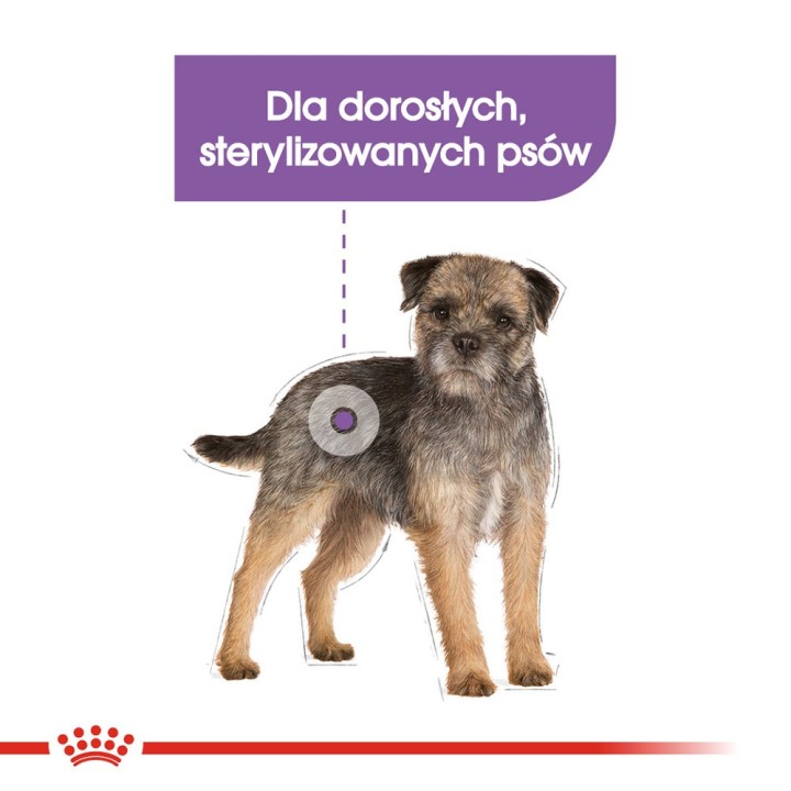 ROYAL CANIN Mini Sterilised - cibo secco per cani adulti di piccole razze dopo la sterilizzazione - 1kg