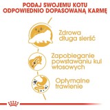 ROYAL CANIN Persian Adult - cibo secco per gatti - 2kg
