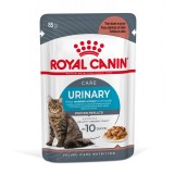 ROYAL CANIN Cura Urinaria in salsa 12x85g