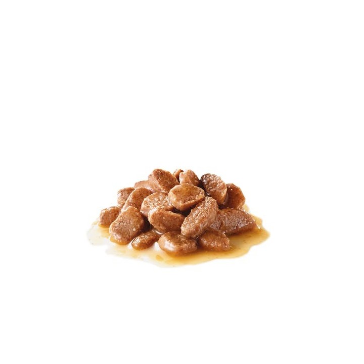 ROYAL CANIN Cura Urinaria in salsa 12x85g