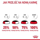 ROYAL CANIN Cura Urinaria in salsa 12x85g
