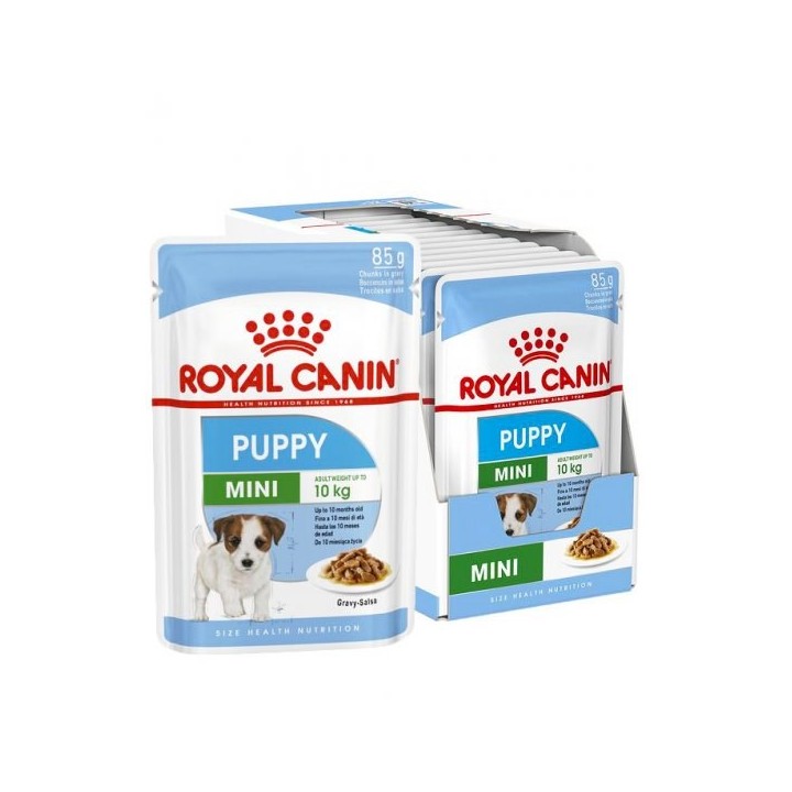 ROYAL CANIN SHN Mini Puppy in salsa - cibo umido per cuccioli - 12X85g