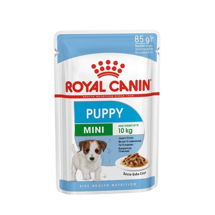 ROYAL CANIN SHN Mini Puppy in salsa - cibo umido per cuccioli - 12X85g