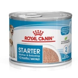 ROYAL CANIN Starter Mousse Mother & Babydog - scatola 195g