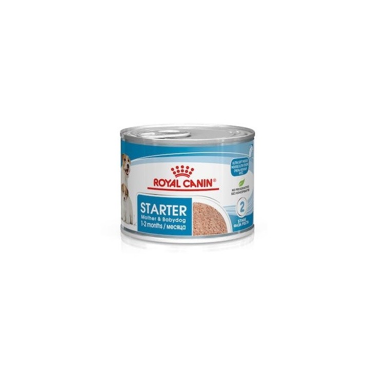 ROYAL CANIN Starter Mousse Mother & Babydog - scatola 195g