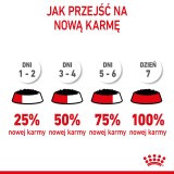 ROYAL CANIN SHN Mini Puppy in salsa - cibo umido per cuccioli - 12X85g