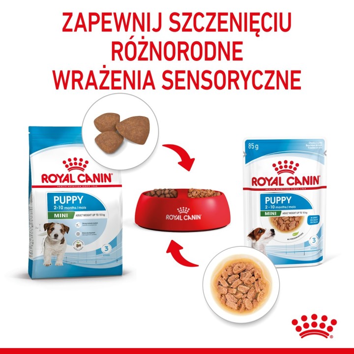 ROYAL CANIN SHN Mini Puppy in salsa - cibo umido per cuccioli - 12X85g