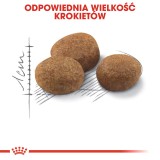 ROYAL CANIN Sterilizzato 7+ - cibo secco per gatti - 10 kg