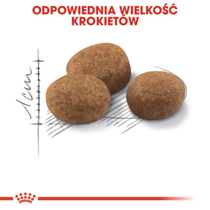 ROYAL CANIN Sterilizzato 7+ - cibo secco per gatti - 10 kg