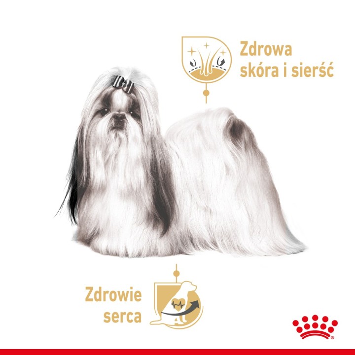 ROYAL CANIN Shih Tzu Adult Pâté - cibo umido per cani 12x85 g