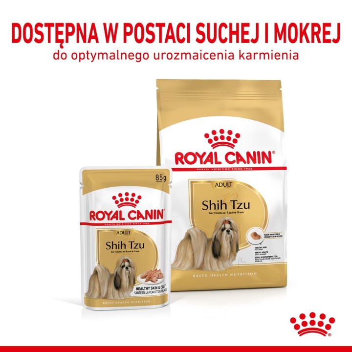 ROYAL CANIN Shih Tzu Adult Pâté - cibo umido per cani 12x85 g