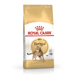 Royal Canin Bengal Adult gatti cibo secco 2 kg Pollame Verdura