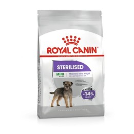 Royal Canin CCN MINI STERILISED - cibo secco per cani adulti - 3kg