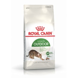 Royal Canin Active Life Outdoor cibo secco per gatti 4 kg Adult Pollame