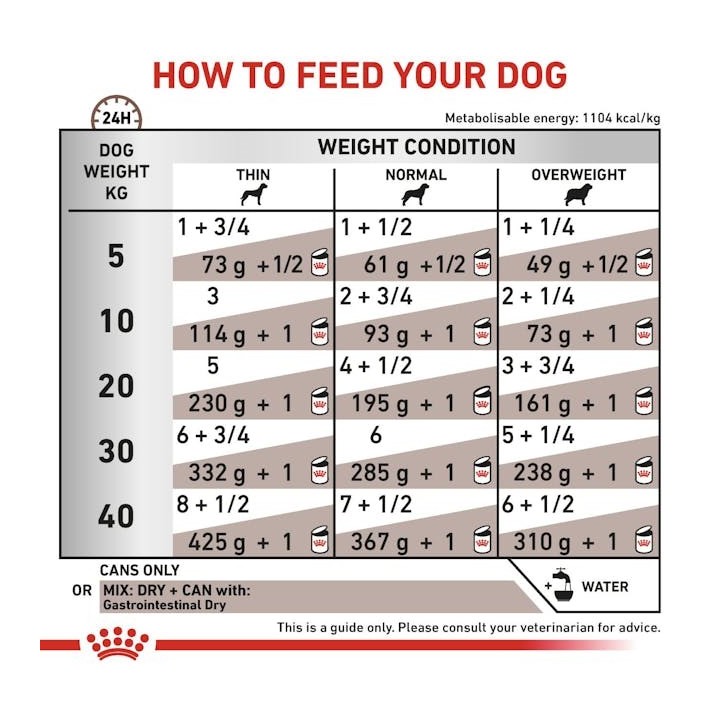ROYAL CANIN VHN Polpettone Gastrointestinale - cibo umido per cani - 200g