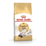 Royal Canin FBN Ragdoll Adulto cibo secco per gatti 2 kg
