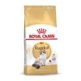 Royal Canin FBN Ragdoll Adulto cibo secco per gatti 2 kg