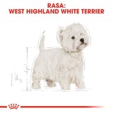 Royal Canin BHN West Highland White Terrier Adulto - cibo secco per cani adulti - 3kg