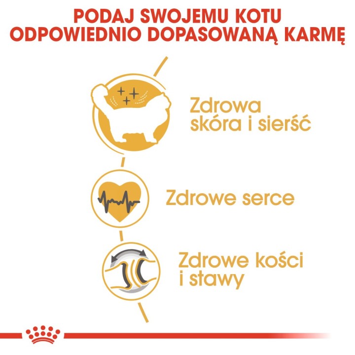 Royal Canin FBN Ragdoll Adulto cibo secco per gatti 2 kg