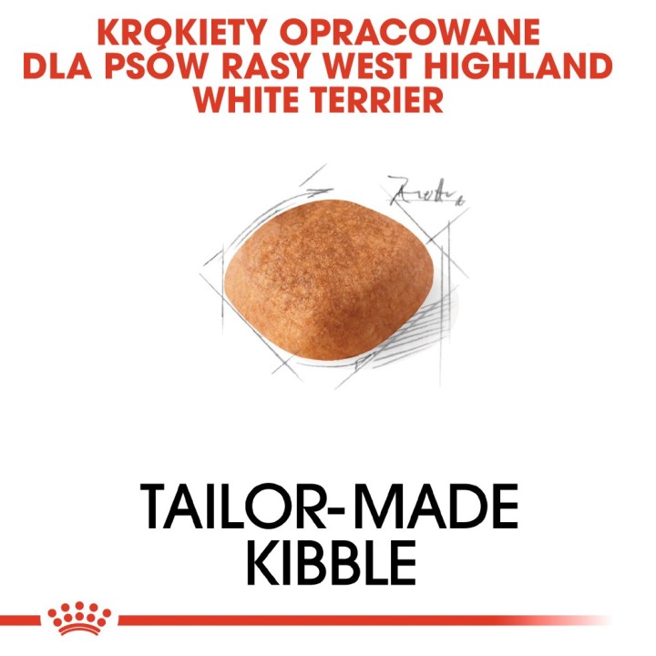 Royal Canin BHN West Highland White Terrier Adulto - cibo secco per cani adulti - 3kg