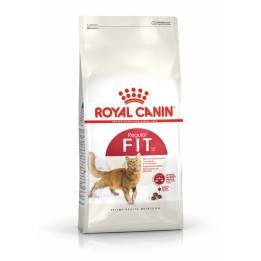Royal Canin Feline Fit 2kg cibo secco per gatti Adult