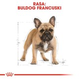 Royal Canin BHN Bulldog Francese Adulto - cibo secco per cani - 9kg