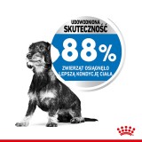 Royal Canin CCN MINI LIGHT WEIGHT CARE - cibo secco per cani adulti - 3kg