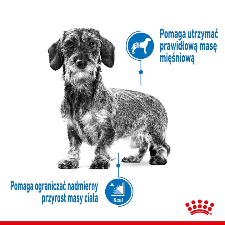 Royal Canin CCN MINI LIGHT WEIGHT CARE - cibo secco per cani adulti - 3kg