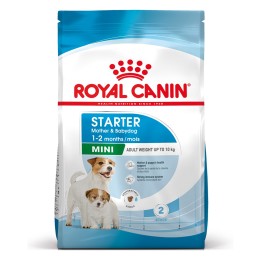 Royal Canin Mini Starter Mother & Babydog Adult Pollame 1 kg
