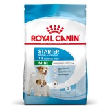 Royal Canin Mini Starter Mother & Babydog Adult Pollame 1 kg