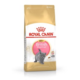 Royal Canin British Shorthair Cucciolo gatti cibo secco 2 kg Pollame Riso Verdura