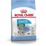 Royal Canin Mini Starter Mother & Babydog Adult Pollame 1 kg
