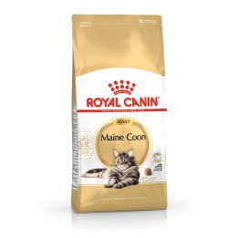 Royal Canin FBN Maine Coon Adult - cibo secco per gatti adulti - 4kg