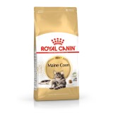 Royal Canin FBN Maine Coon Adult - cibo secco per gatti adulti - 4kg