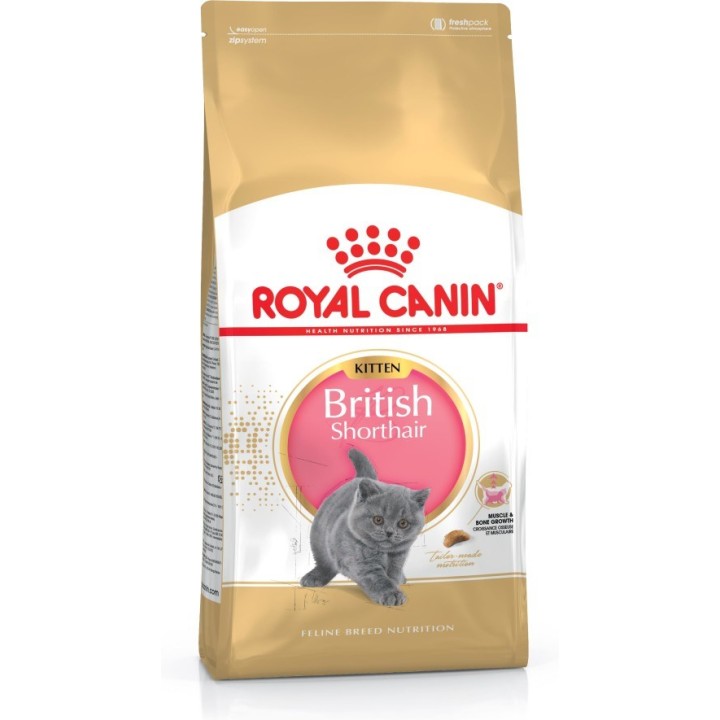 Royal Canin British Shorthair Cucciolo gatti cibo secco 2 kg Pollame Riso Verdura