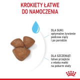 Royal Canin Mini Starter Mother & Babydog Adult Pollame 1 kg