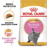 Royal Canin British Shorthair Cucciolo gatti cibo secco 2 kg Pollame Riso Verdura
