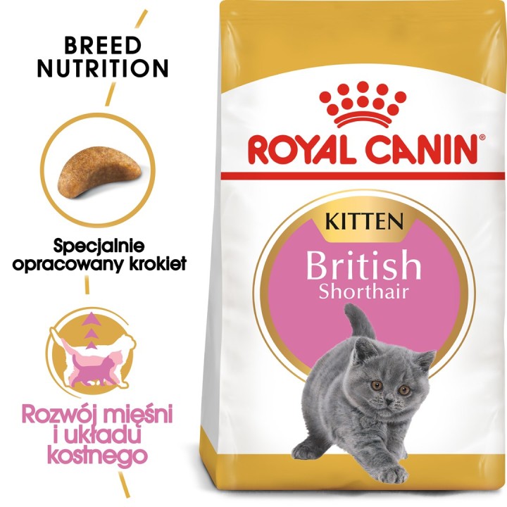 Royal Canin British Shorthair Cucciolo gatti cibo secco 2 kg Pollame Riso Verdura