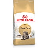 Royal Canin FBN Maine Coon Adult - cibo secco per gatti adulti - 4kg