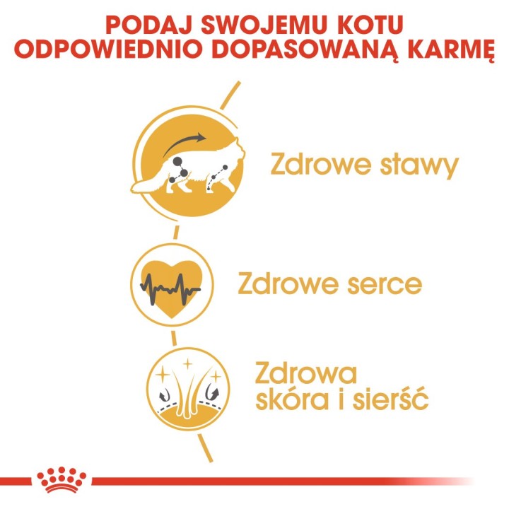 Royal Canin FBN Maine Coon Adult - cibo secco per gatti adulti - 4kg
