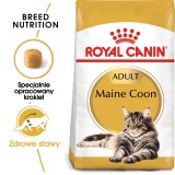Royal Canin FBN Maine Coon Adult - cibo secco per gatti adulti - 4kg