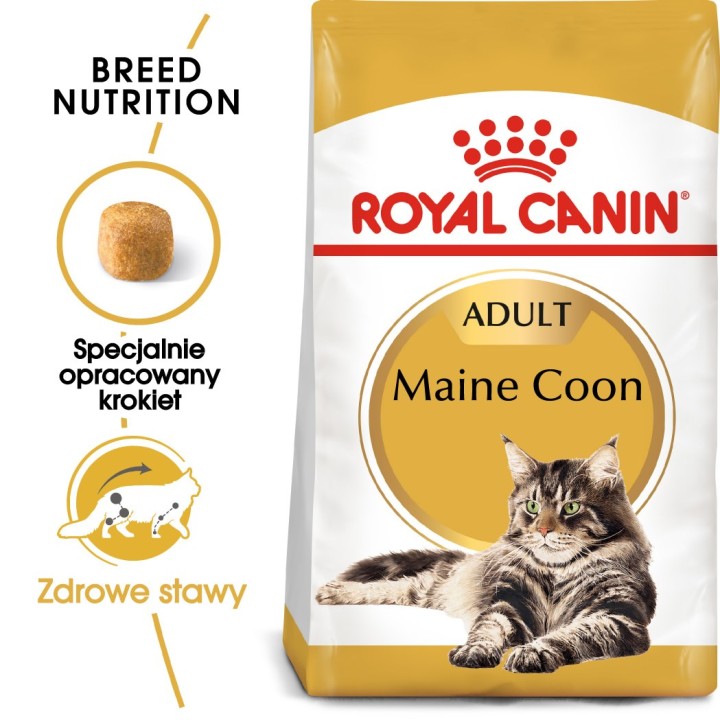Royal Canin FBN Maine Coon Adult - cibo secco per gatti adulti - 4kg